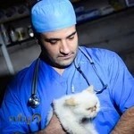 بیمارستان دامپزشکی و پت شاپ آبان