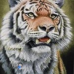 نصیری تعمیر لوازم خانگی