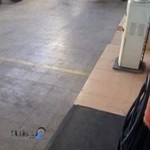 نمايندگي سايپا مجتهدي