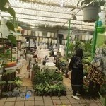 بازار گل و گیاه زنجان