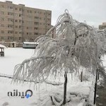 موسسه آموزش عالی روزبه زنجان