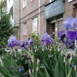 کلینیک دامپزشکی آدورینا