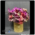 تشریفات پریسا