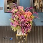 دفتر بوکی سنه