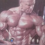 باشگاه بدنسازی و پرورش اندام