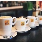 امیر شکلات سینان دژ