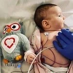 مرکز فوق تخصصی قلب جنین ، دکتر محسن شهیدی