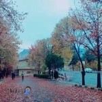 پردیس علامه طباطبایی