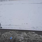 کلوپ مهردادیاسمی