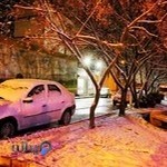 فست فود واتو