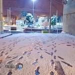 مجموعه ورزشی بانوان