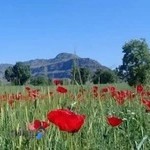 اداره کل ورزش و جوانان استان لرستان