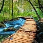 آموزشگاه آشپزی آشپزخانه ملل