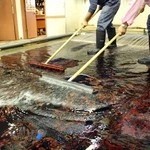 قالیشویی جهان آرا