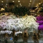 گل فروشی همانتوس