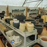 گل خانه کونیکا