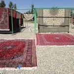 قالیشویی الوند