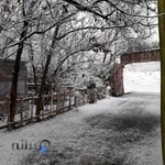 باغ خانوادگی شب نشین