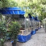 باغ رستوران مهر و ماه