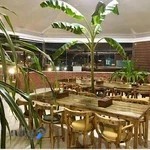 مجموعه تفریحی کاکتوس