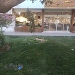 رستوران رضائی
