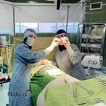 دکتر سولماز محمدی