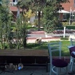 رستوران دنیای خوشمزه