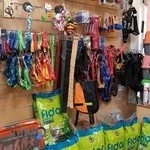 کلینیک تخصصی حیوانات خانگی نوبل