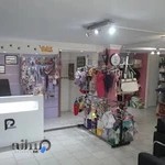 کلینیک دامپزشکی پانیا