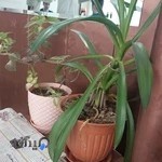 آرایشگاه مردانه موج