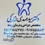 دکتر سید مهدی انارکی