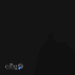 دکتر ماریتا شکاریان