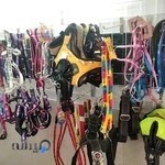 پت شاپ لاکی. پخش غذای اَبیش