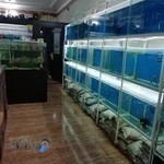 آکواریوم جزیره