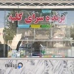 پرنده فروشی سید