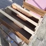 پرنده فروشی