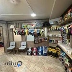 کلینیک دامپزشکی آشیل