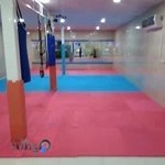 باشگاه ورزشی پورتن