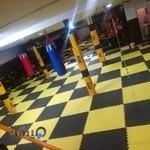 آکادمی رزمی رینگ طلایی