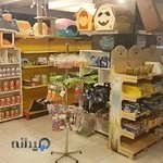 کلینیک دامپزشکی نیکا