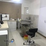 کلینیک دامپزشکی ژینا