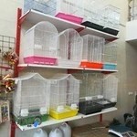 پخش قفس و لوازم پرنده آرکا