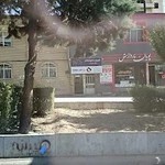 پت شاپ دهکده