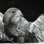 آموزشگاه نقاشی شمس