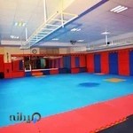 مجموعه ورزشى شهدا