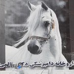 داروخانه دامپزشکی دکتر سالمی