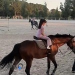 مجموعه سوارکاری قصر فیروزه شهدا