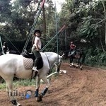 باشگاه سواركارى شكى