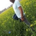 باشگاه سوارکاری هوشمند