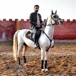 باشگاه سوارکاری نیاوران